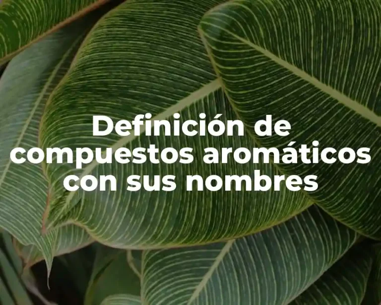 Definición de compuestos aromáticos con sus nombres