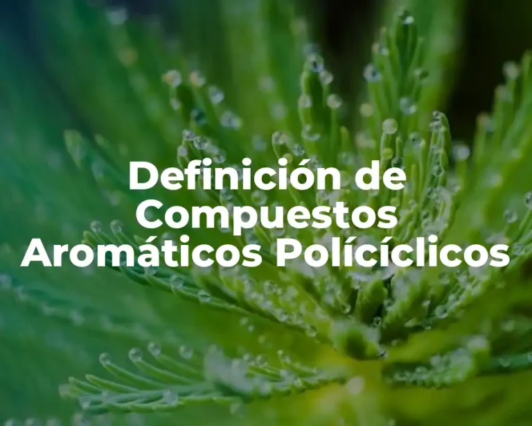 Definición de Compuestos Aromáticos Polícíclicos