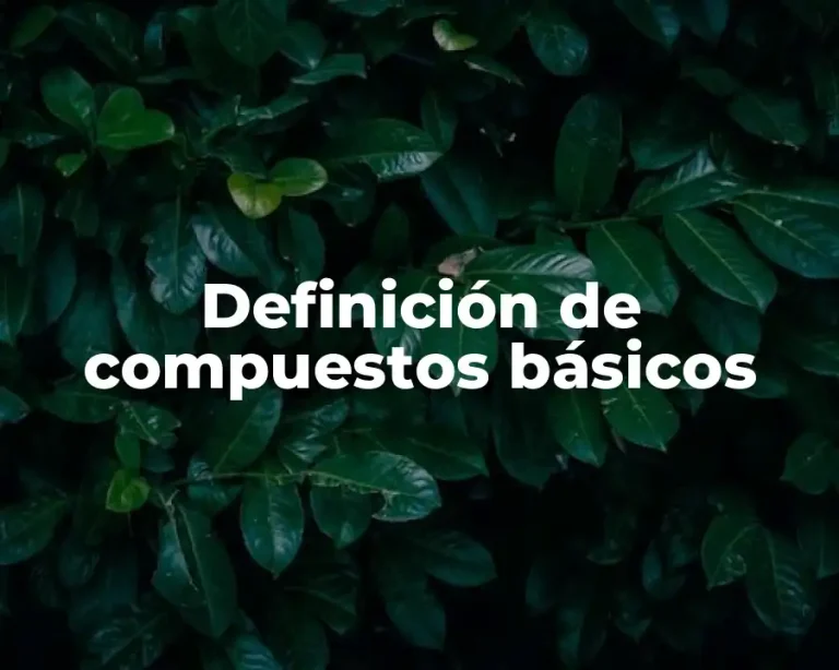 Definición de compuestos básicos