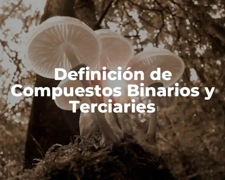 Definición de Compuestos Binarios y Terciaries