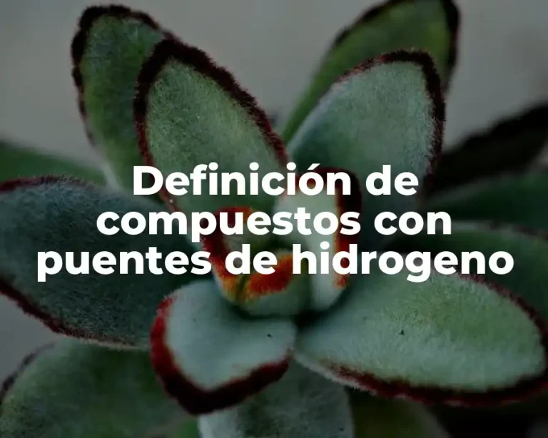 Definición de compuestos con puentes de hidrogeno