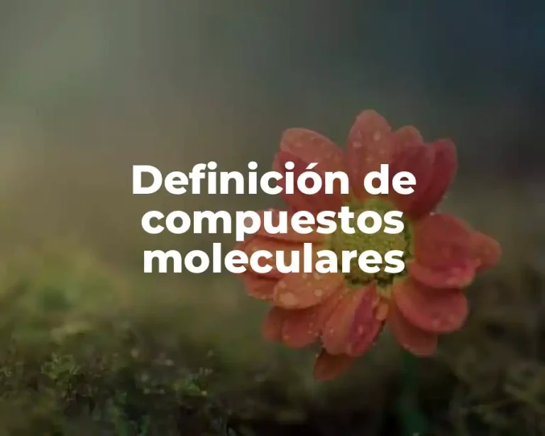Definición de compuestos moleculares