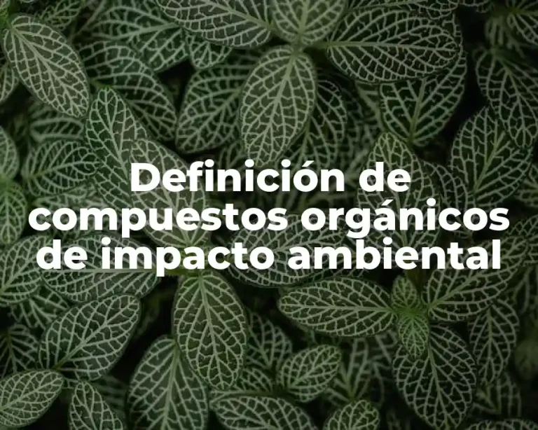 Definición de compuestos orgánicos de impacto ambiental