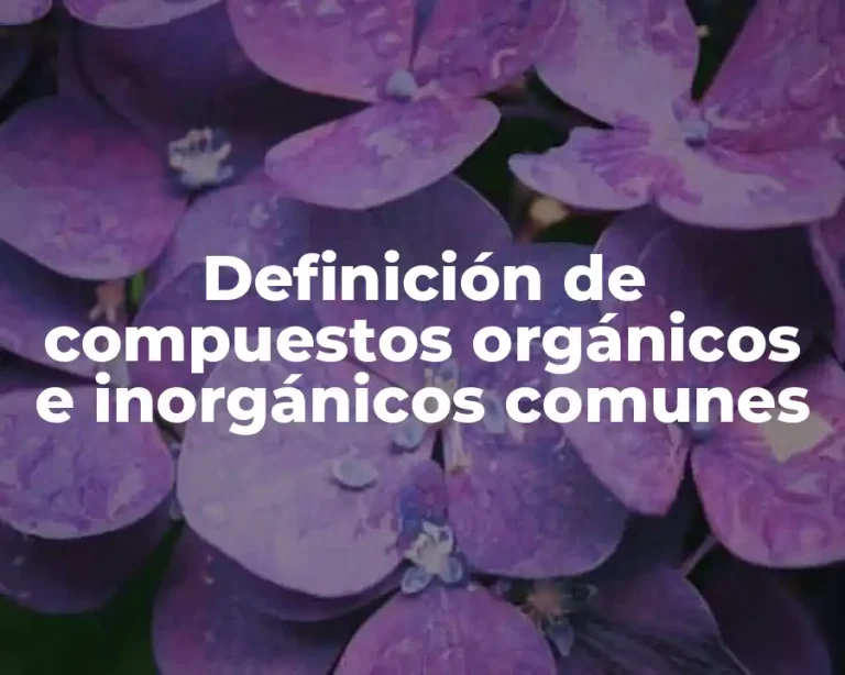Definición de compuestos orgánicos e inorgánicos comunes