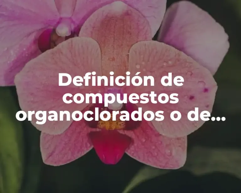 Definición de compuestos organoclorados o de hidrocarburos
