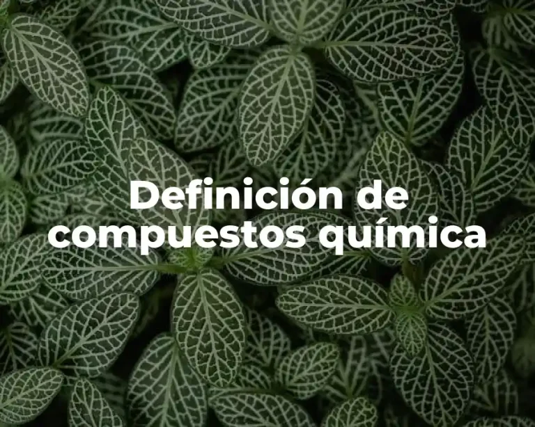 Definición de compuestos química