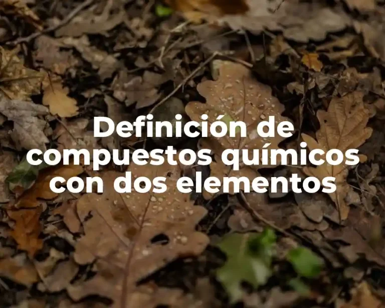 Definición de compuestos químicos con dos elementos