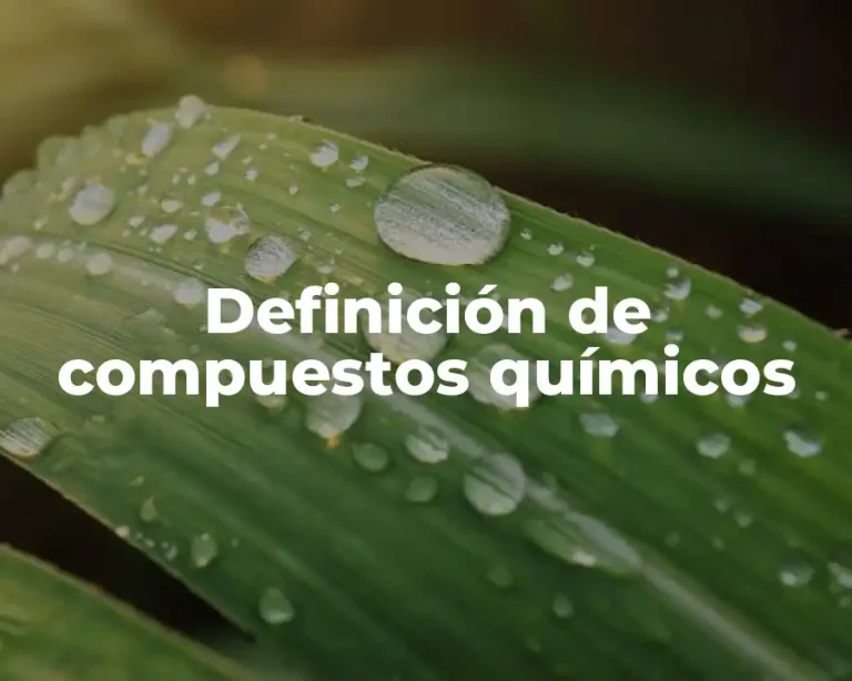 Definición de compuestos químicos