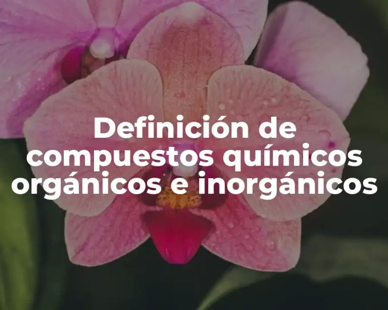 Definición de compuestos químicos orgánicos e inorgánicos