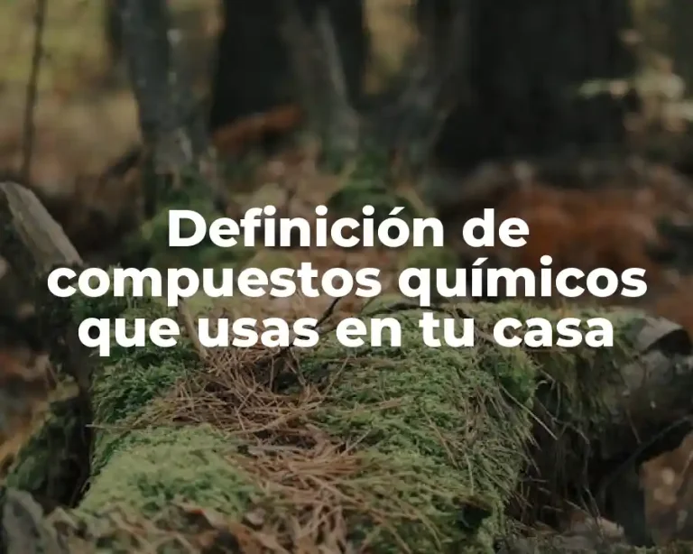 Definición de compuestos químicos que usas en tu casa