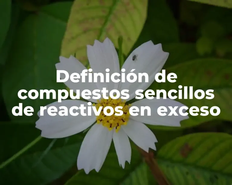 Definición de compuestos sencillos de reactivos en exceso
