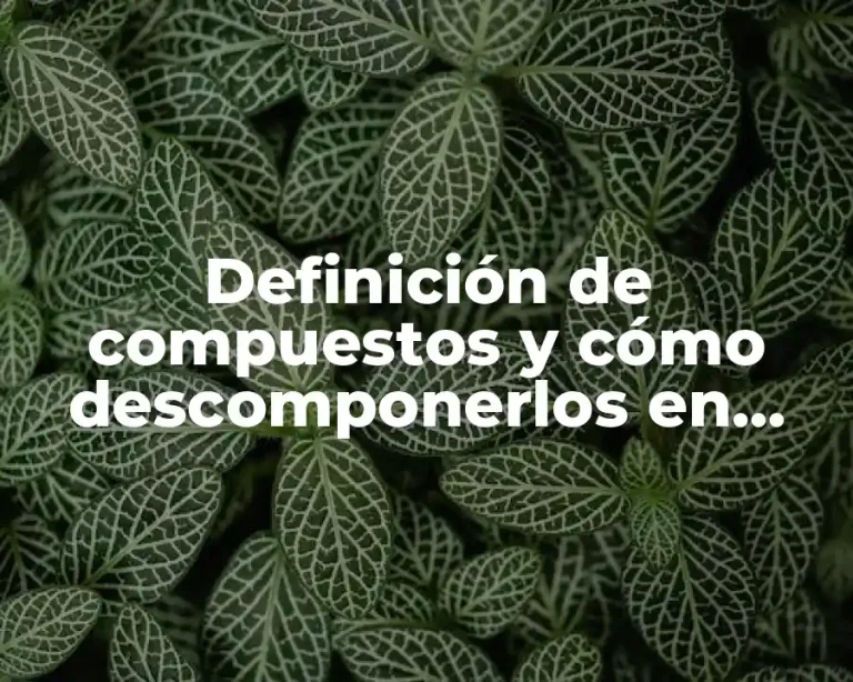 Definición de compuestos y cómo descomponerlos en elementos
