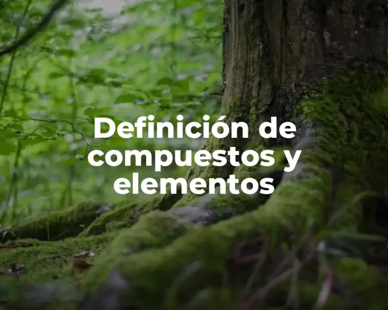 Definición de compuestos y elementos