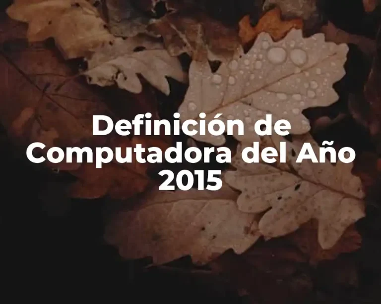 Definición de Computadora del Año 2015
