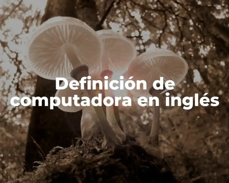 Definición de computadora en inglés