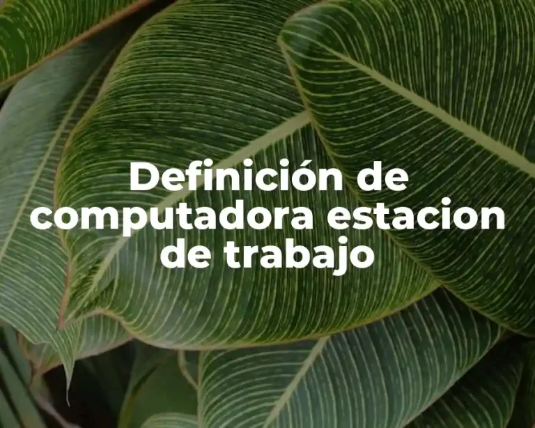 Definición de computadora estacion de trabajo