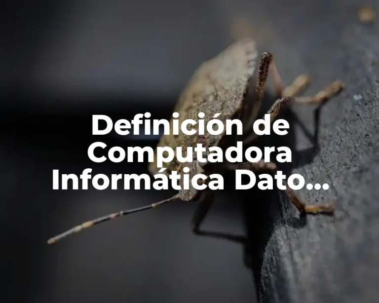 Definición de Computadora Informática Dato Información CPU