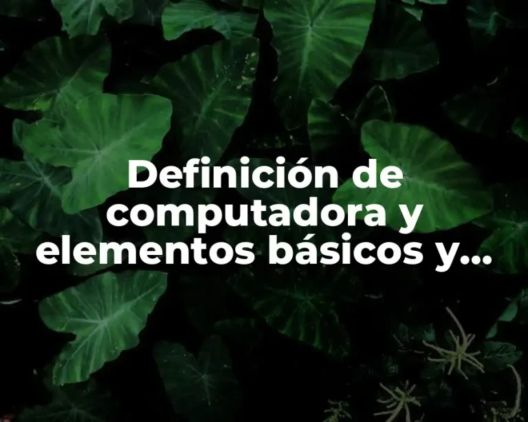 Definición de computadora y elementos básicos y funciones