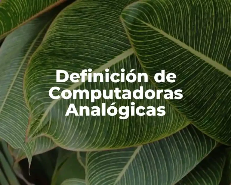 Definición de Computadoras Analógicas