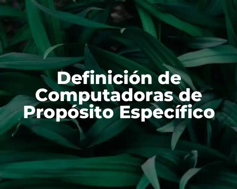 Definición de Computadoras de Propósito Específico