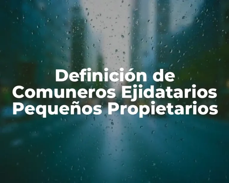 Definición de Comuneros Ejidatarios Pequeños Propietarios