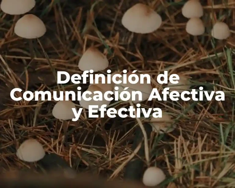 Definición de Comunicación Afectiva y Efectiva