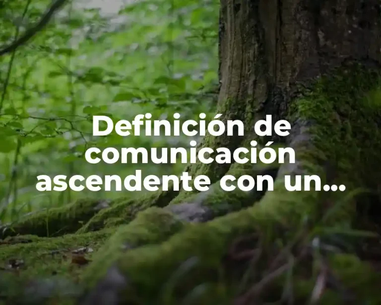 Definición de comunicación ascendente con un profesor