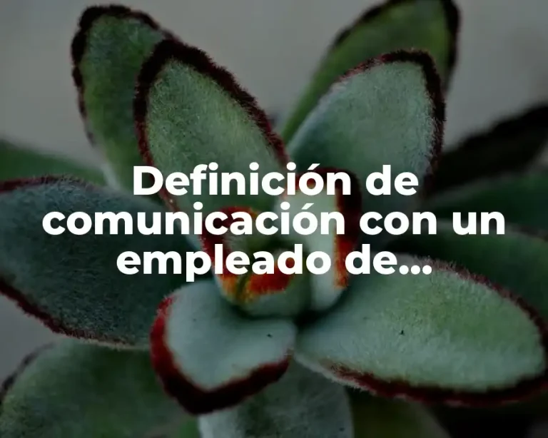 Definición de comunicación con un empleado de restaurante