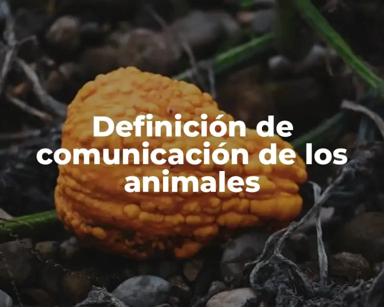 Definición de comunicación de los animales