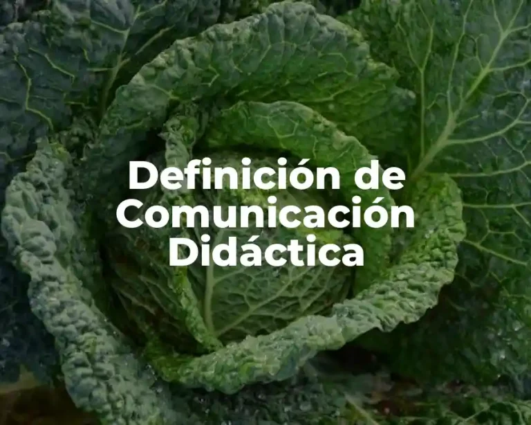 Definición de Comunicación Didáctica