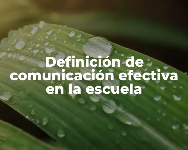 Definición de comunicación efectiva en la escuela