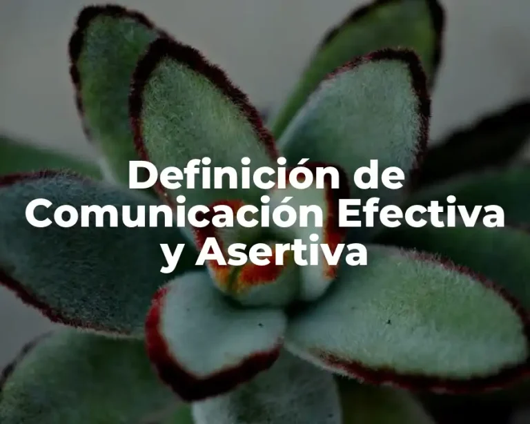 Definición de Comunicación Efectiva y Asertiva