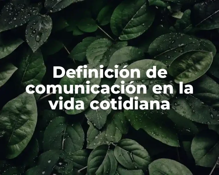 Definición de comunicación en la vida cotidiana