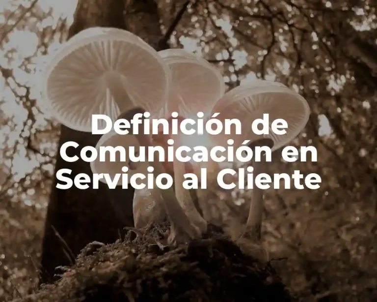Definición de Comunicación en Servicio al Cliente