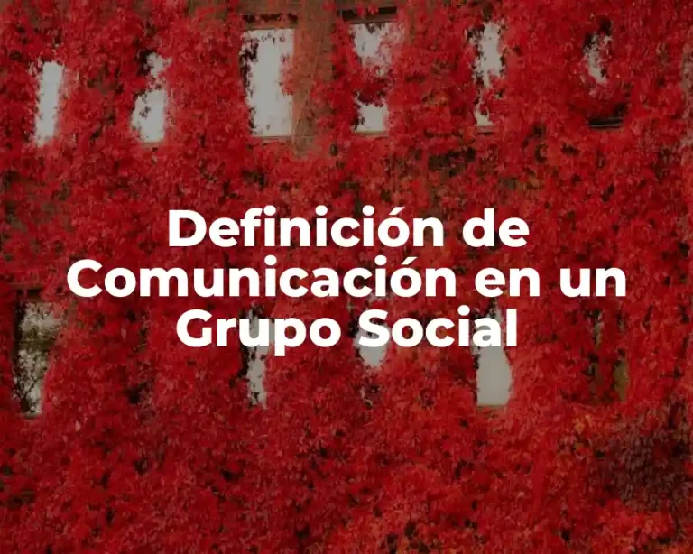 Definición de Comunicación en un Grupo Social