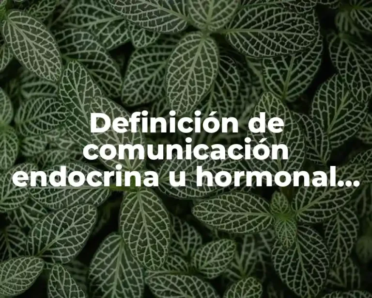 Definición de comunicación endocrina u hormonal en el ser humano