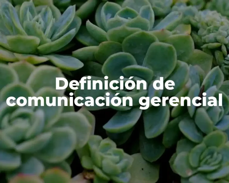 Definición de comunicación gerencial