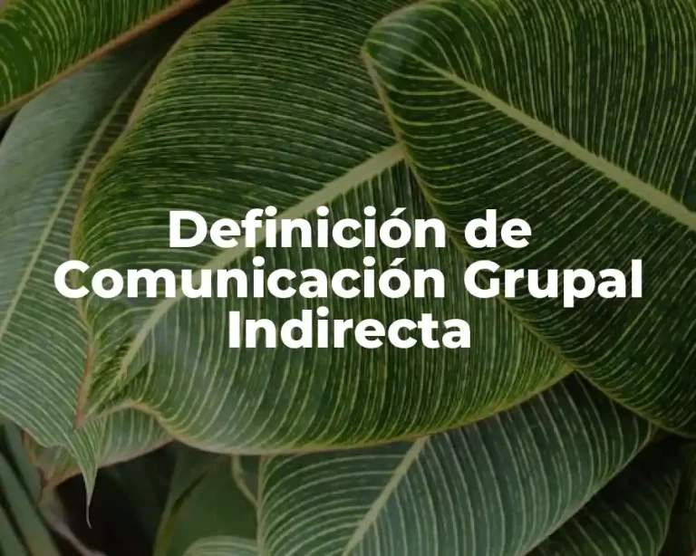 Definición de Comunicación Grupal Indirecta