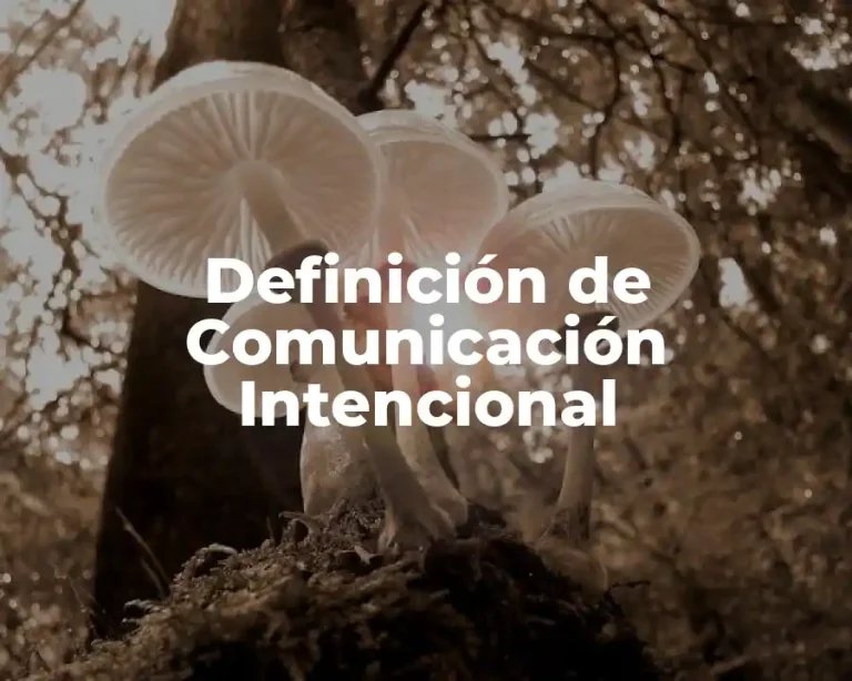 Definición de Comunicación Intencional