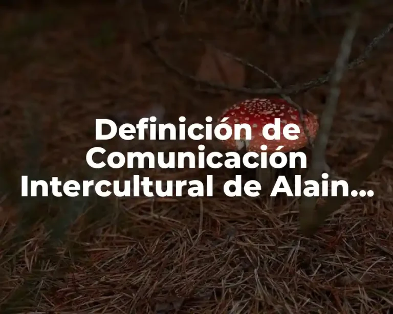 Definición de Comunicación Intercultural de Alain Touraine