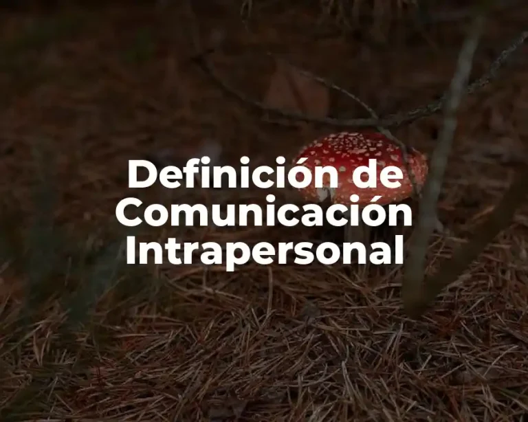 Definición de Comunicación Intrapersonal