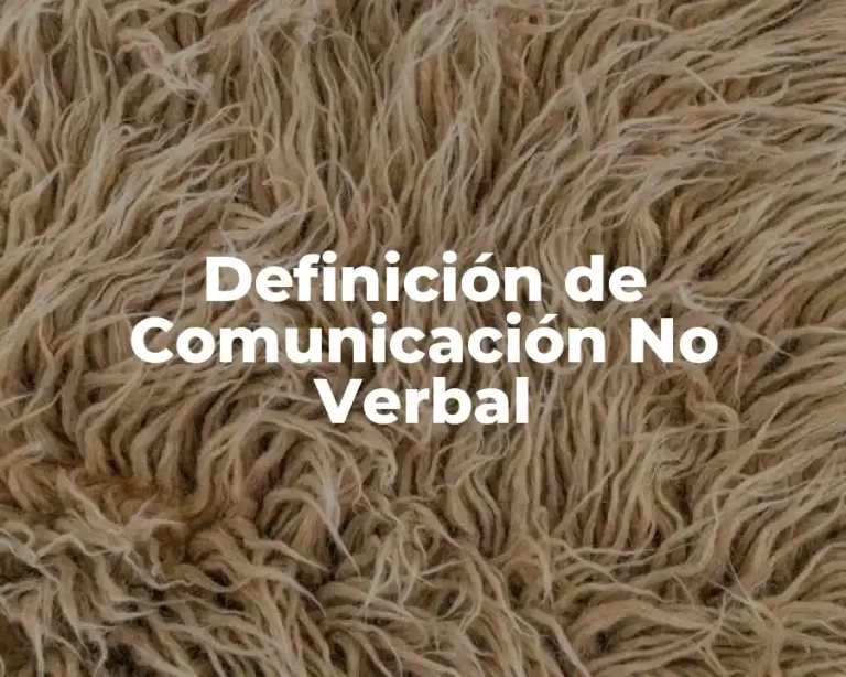 Definición de Comunicación No Verbal