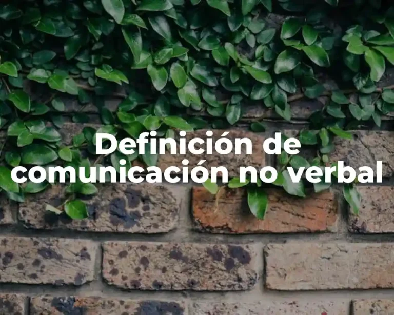 Definición de comunicación no verbal