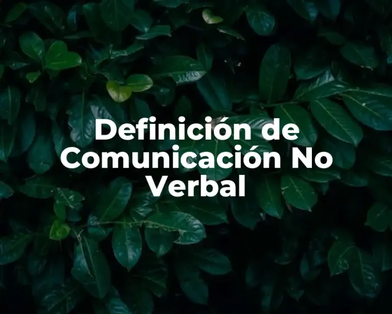 Definición de Comunicación No Verbal