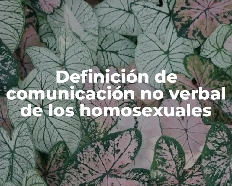 Definición de comunicación no verbal de los homosexuales