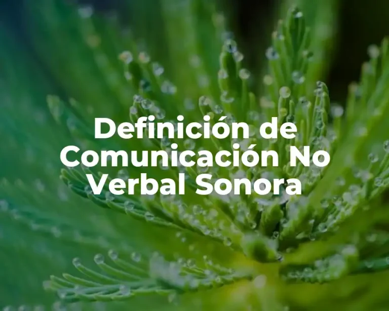 Definición de Comunicación No Verbal Sonora