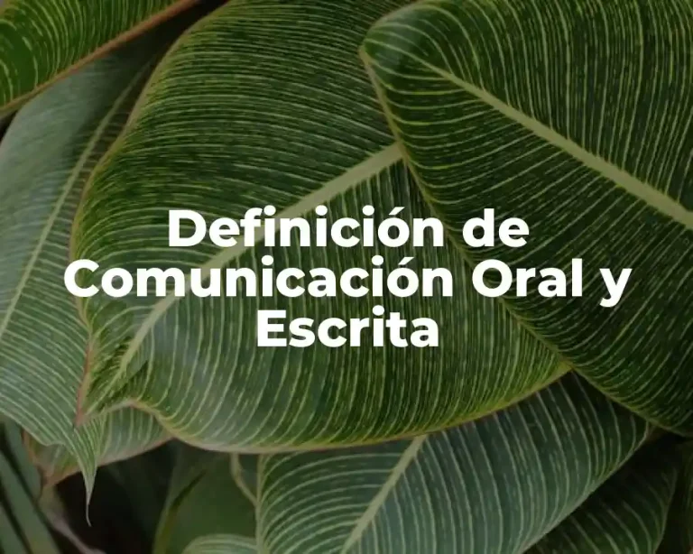 Definición de Comunicación Oral y Escrita