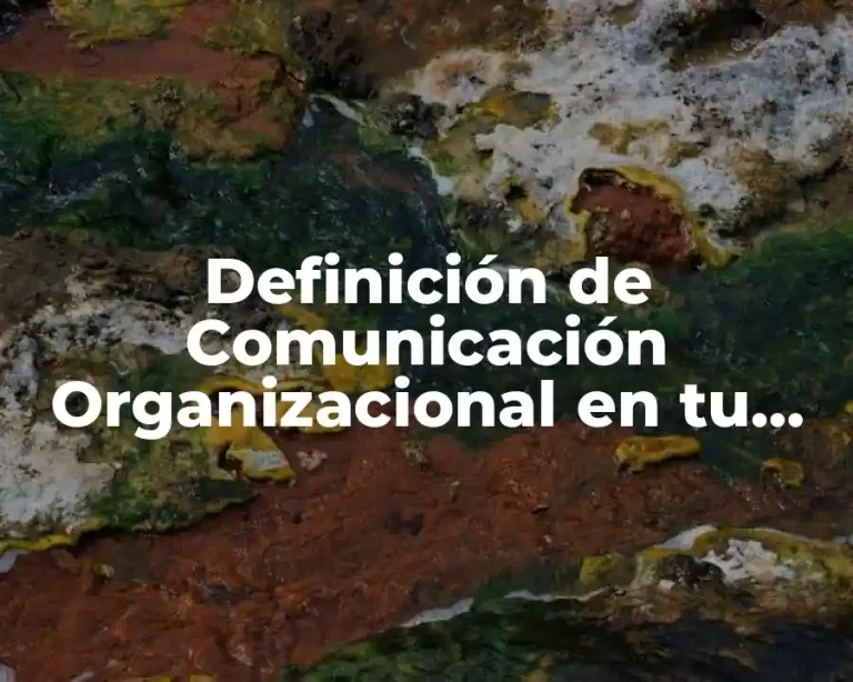 Definición de Comunicación Organizacional en tu vida laboral