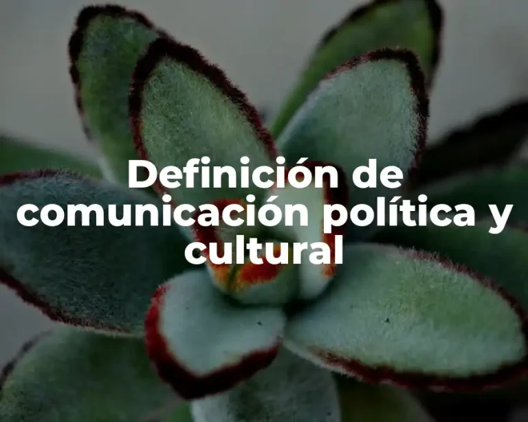 Definición de comunicación política y cultural