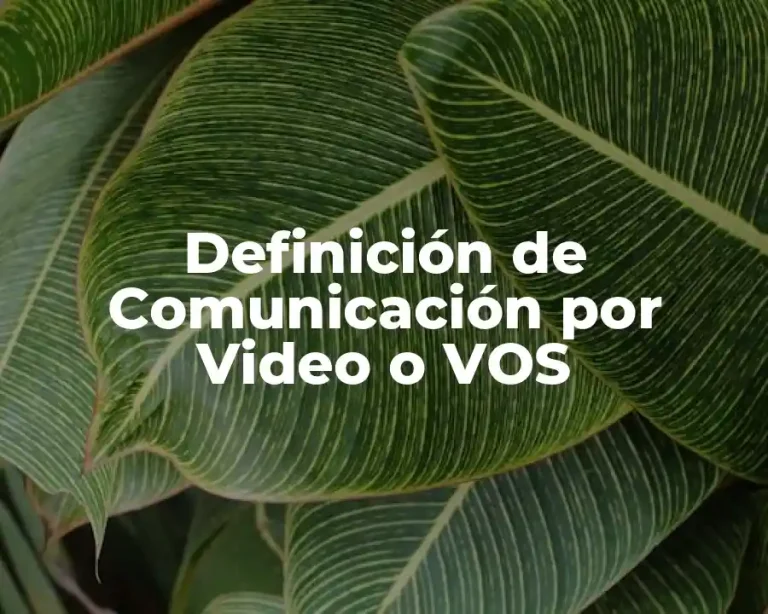 Definición de Comunicación por Video o VOS